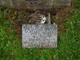 image of grave number 387530